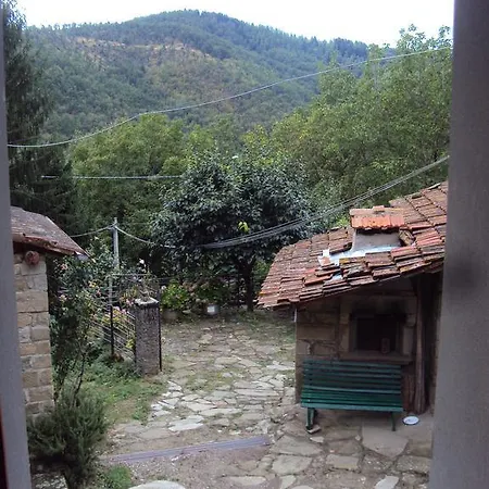 Casina Vignali *